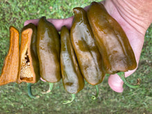 Load image into Gallery viewer, Berbre Anaheim Mustard (Pepper Seeds)