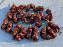 Load image into Gallery viewer, Primotalii Chocolate (Pepper Seeds)