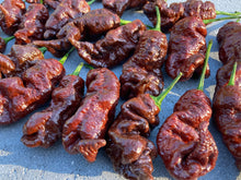 Load image into Gallery viewer, Primotalii Chocolate (Pepper Seeds)