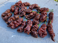 Load image into Gallery viewer, Primotalii Chocolate (Pepper Seeds)