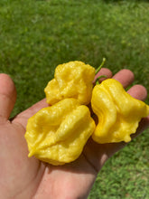Load image into Gallery viewer, Créme Douglah (Pepper Seeds)