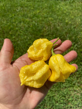 Load image into Gallery viewer, Créme Douglah (Pepper Seeds)
