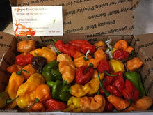 Load image into Gallery viewer, Fresh Assorted Unlabeled  SuperHot Peppers (SFRB)