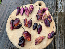 Load image into Gallery viewer, Pandora’s Box Pimenta Jolokia/PJ Mix (Pepper Seeds)