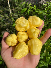 Load image into Gallery viewer, Kokomo Cream Bonnet (Pepper Seeds)