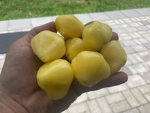 Load image into Gallery viewer, Sugar Rush Cream (Pepper Seeds)