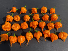 Load image into Gallery viewer, Inception (Douglah V2) (Pepper Seeds)