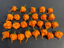 Load image into Gallery viewer, Inception (Douglah V2) (Pepper Seeds)