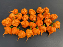 Load image into Gallery viewer, Inception (Douglah V2) (Pepper Seeds)