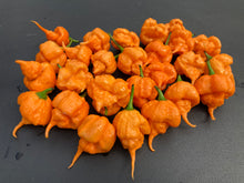 Load image into Gallery viewer, Inception (Douglah V2) (Pepper Seeds)