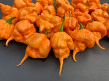 Load image into Gallery viewer, Inception (Douglah V2) (Pepper Seeds)