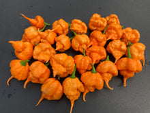 Load image into Gallery viewer, Inception (Douglah V2) (Pepper Seeds)