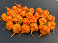 Load image into Gallery viewer, Inception (Douglah V2) (Pepper Seeds)