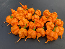 Load image into Gallery viewer, Inception (Douglah V2) (Pepper Seeds)