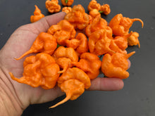 Load image into Gallery viewer, Inception (Douglah V2) (Pepper Seeds)