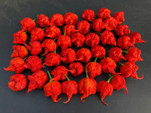 Load image into Gallery viewer, RB003 (Pepper Seeds)