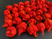 Load image into Gallery viewer, RB003 (Pepper Seeds)
