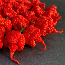 Load image into Gallery viewer, RB003 (Pepper Seeds)