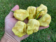 Load image into Gallery viewer, Créme Douglah (Pepper Seeds)