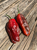Bryan’s Blood (Burgundy) (Pepper Seeds)