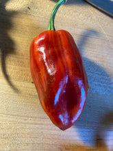 Load image into Gallery viewer, Bryan’s Blood (Anah) (Pepper Seeds)