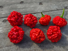 Load image into Gallery viewer, SBJ7/SB7J (Pepper Seeds)