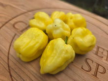 Load image into Gallery viewer, Kokomo Cream Bonnet (Pepper Seeds)