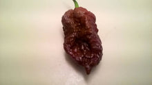 Load image into Gallery viewer, Big Black Mama (Pepper Seeds)