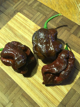 Load image into Gallery viewer, 7 Pot Chocolate (Pepper Seeds)