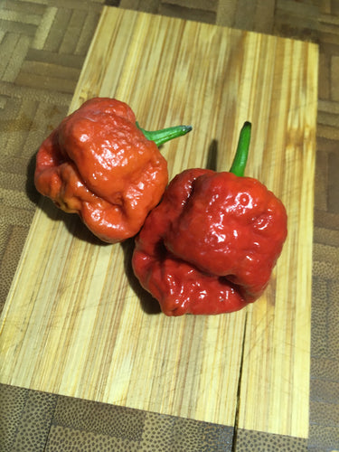 Scorpion Moruga Caramel (Pepper Seeds)