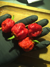 Load image into Gallery viewer, Bubblegum Scorpion (Pepper Seeds)