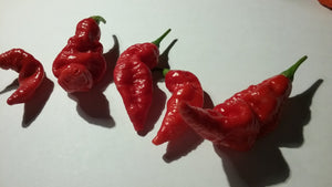 S.R.T.S.L. Scorpion (Pepper Seeds)
