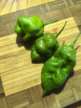 Load image into Gallery viewer, 7 Pot Green (Pepper Seeds)