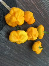 Load image into Gallery viewer, M.A. DaisyCutter Flat (Pepper Seeds)