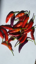 Load image into Gallery viewer, Buena Mulata (Pepper Seeds)