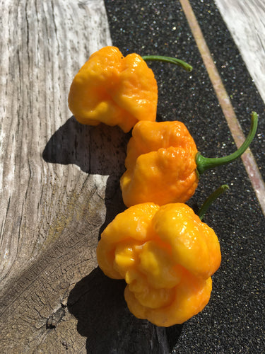 Brainstrain Yellow (Pepper Seeds)