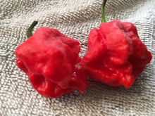 Load image into Gallery viewer, Bhutlah Decimator (Pepper Seeds)