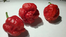 Load image into Gallery viewer, Big Red Mama (Pepper Seeds)