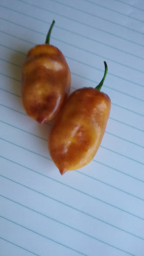 Taj Mahal Orange Minion (Pepper Seeds)