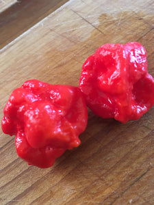 Bhutlah Decimator (Pepper Seeds)