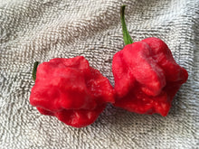 Load image into Gallery viewer, Bhutlah Decimator (Pepper Seeds)