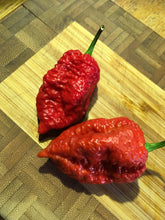 Load image into Gallery viewer, Bhutlah S.L.P. (Pepper Seeds)