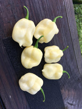 Load image into Gallery viewer, 7 Pot White (Pepper Seeds)