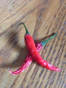 Thai Red Hot (Pepper Seeds)