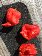 Load image into Gallery viewer, 7 Pot Douglah Billy Boy Red (Pepper Seeds)