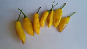 Aji Lemon (Pepper Seeds)