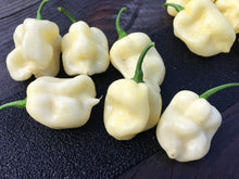 Load image into Gallery viewer, 7 Pot White (Pepper Seeds)