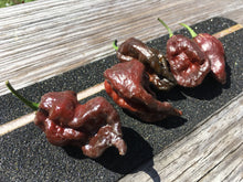 Load image into Gallery viewer, Primo &quot;X&quot; x Douglah (Pepper Seeds)