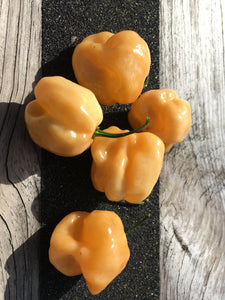 7 Pot Peach SG (Pepper Seeds)