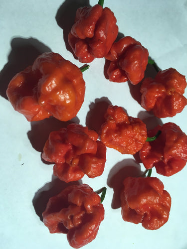 Moruga Brains Red (Pepper Seeds)